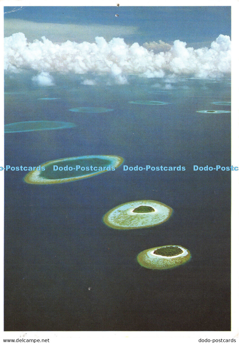 D027985 Maldives. Male Atoll. Michael Friedel. No. 23 58. Maldives Photos Michae