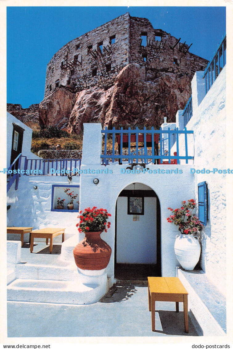 D031248 Cyprus. Erato Cyprus. M. Toubis