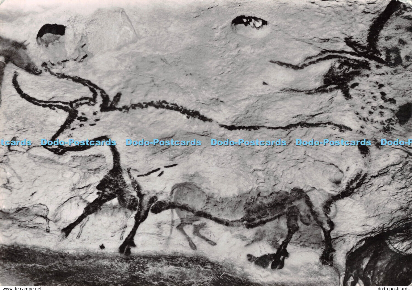 D031994 Montignac sur Vezere. Dordogne. Grotte de Lascaux. Grande Salle. Bovides