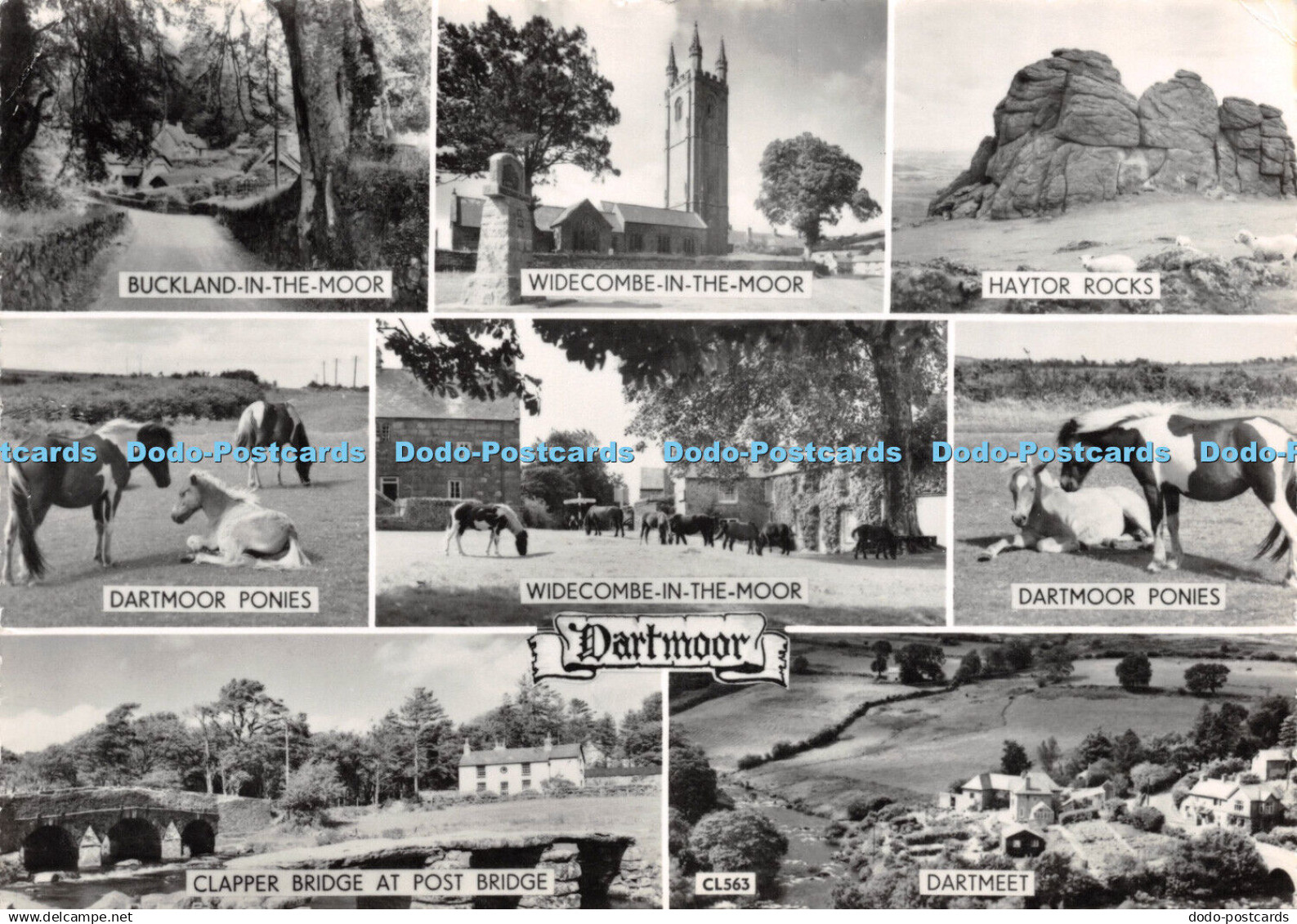 D036821 Dartmoor. Dartmeet. Dartmoor Ponies. Haytor Rocks. RP. Multi View. 1959