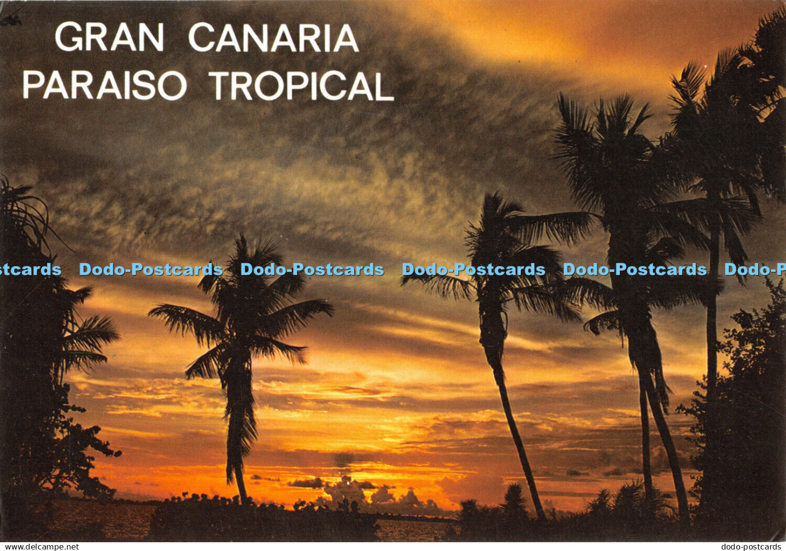 D044457 Gran Canaria. Paraiso Tropical. Sunset. Com Ar Tur Cabrera