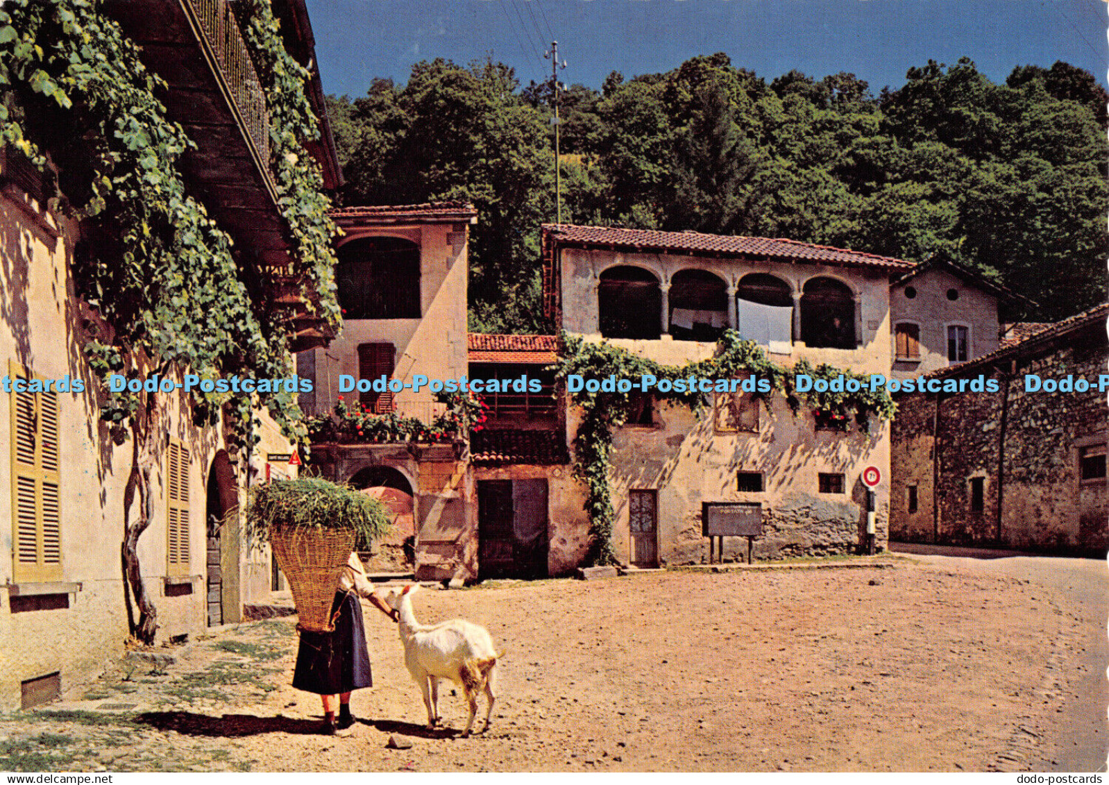 D047059 Il Ticino pittoresco Sessa Malcantone. No. 5637 Edizione Engelberger