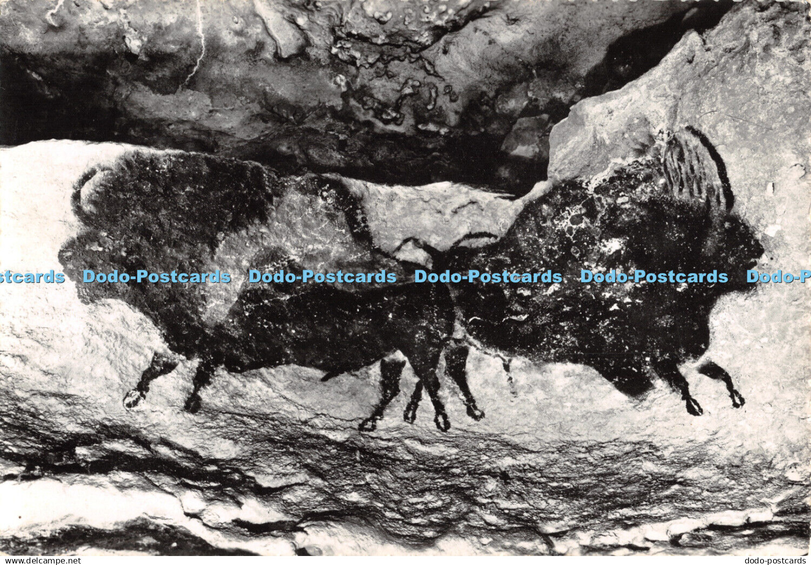 D047211 Grotte Prehistorique de Lascaux Montignac sur Vezere. Photo Windels. RP