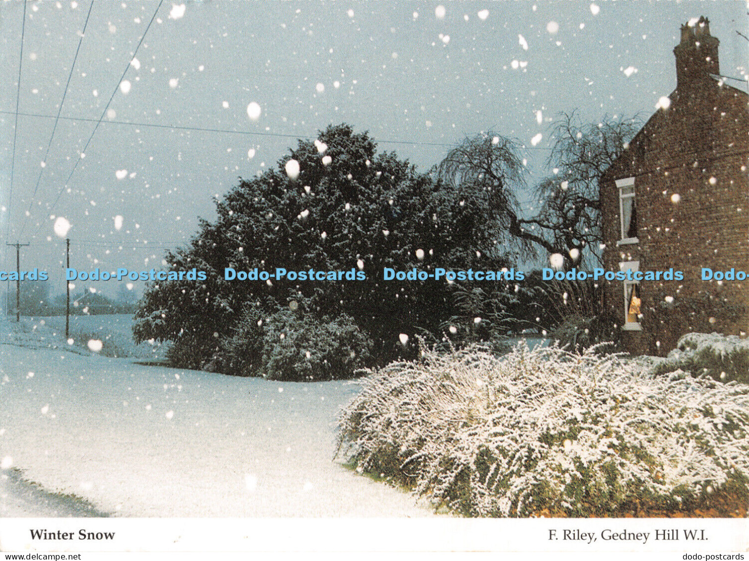 D055629 Winter Snow. Lincolnshire North. Lincolnshire South and Humberside Feder