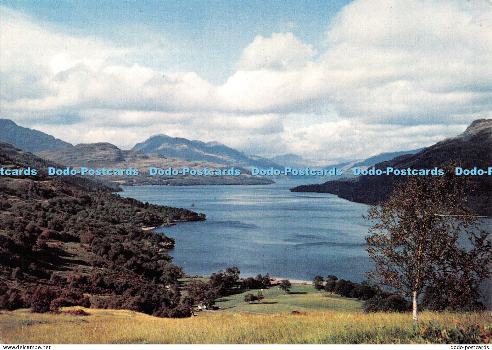 D057729 Loch Lomond. Dunbartonshire. Dixon. Bonnie Banks