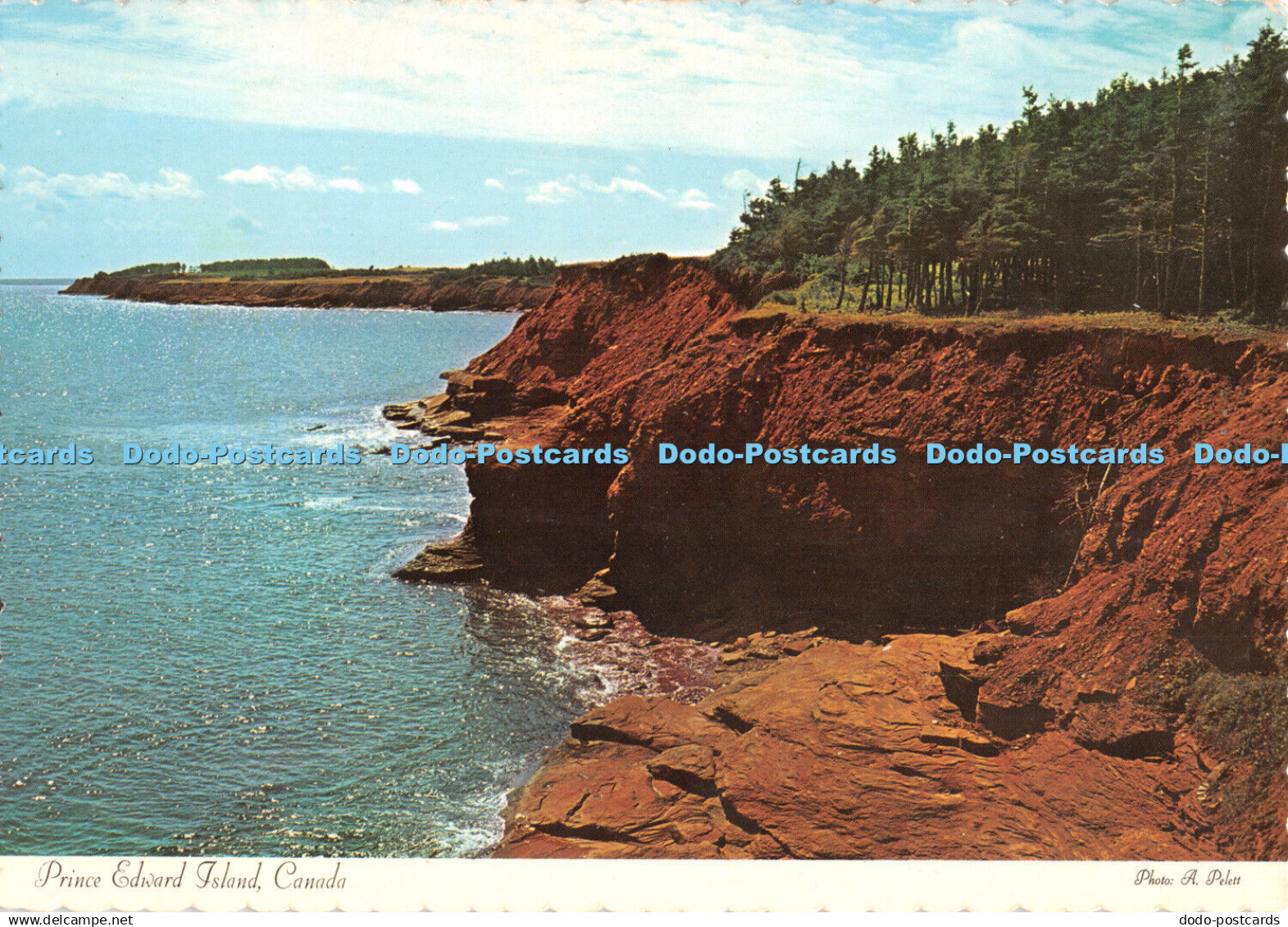 D061716 Canada. Prince Edward Island. A. Pelett. Island Wholesale. Dexter Press