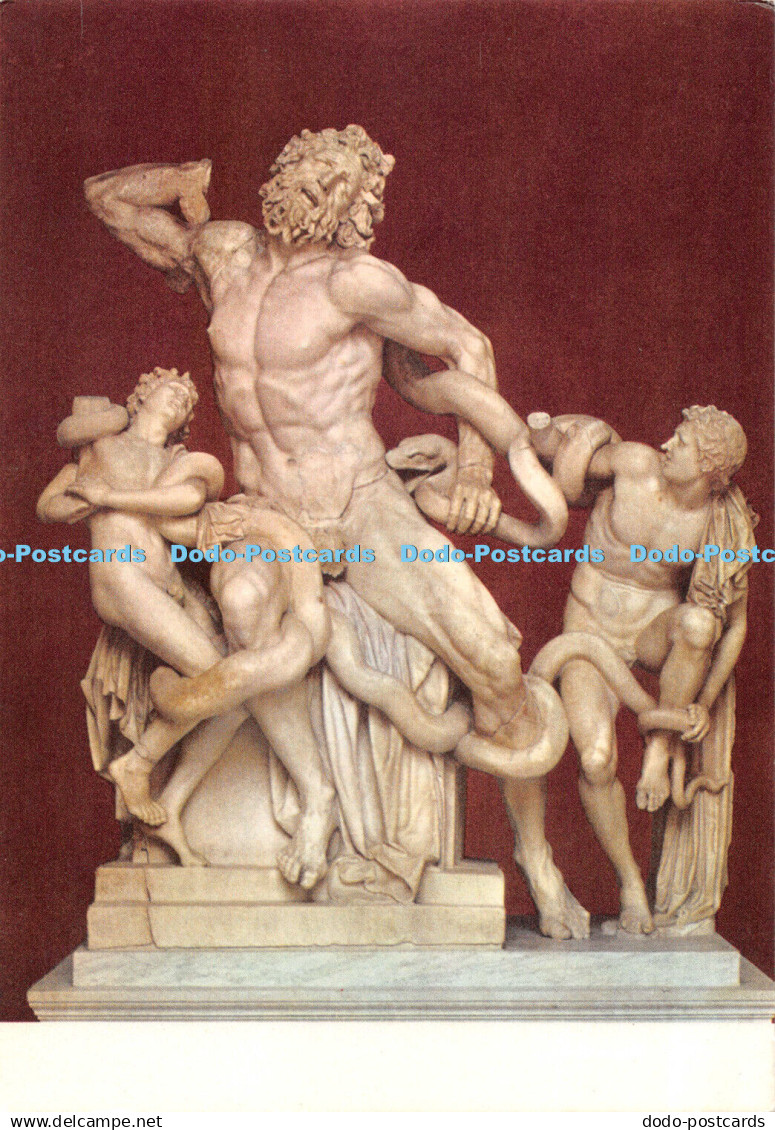 D099529 Vaticano. Group of Laocoon. After restoring. Monumenti Musei e Gallerie
