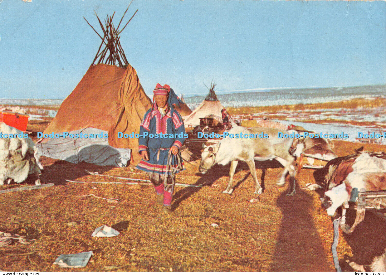 D106425 Norge. Same med rein pa Finnmarksvidda. Lapps or Laplanders. Norway. Fin