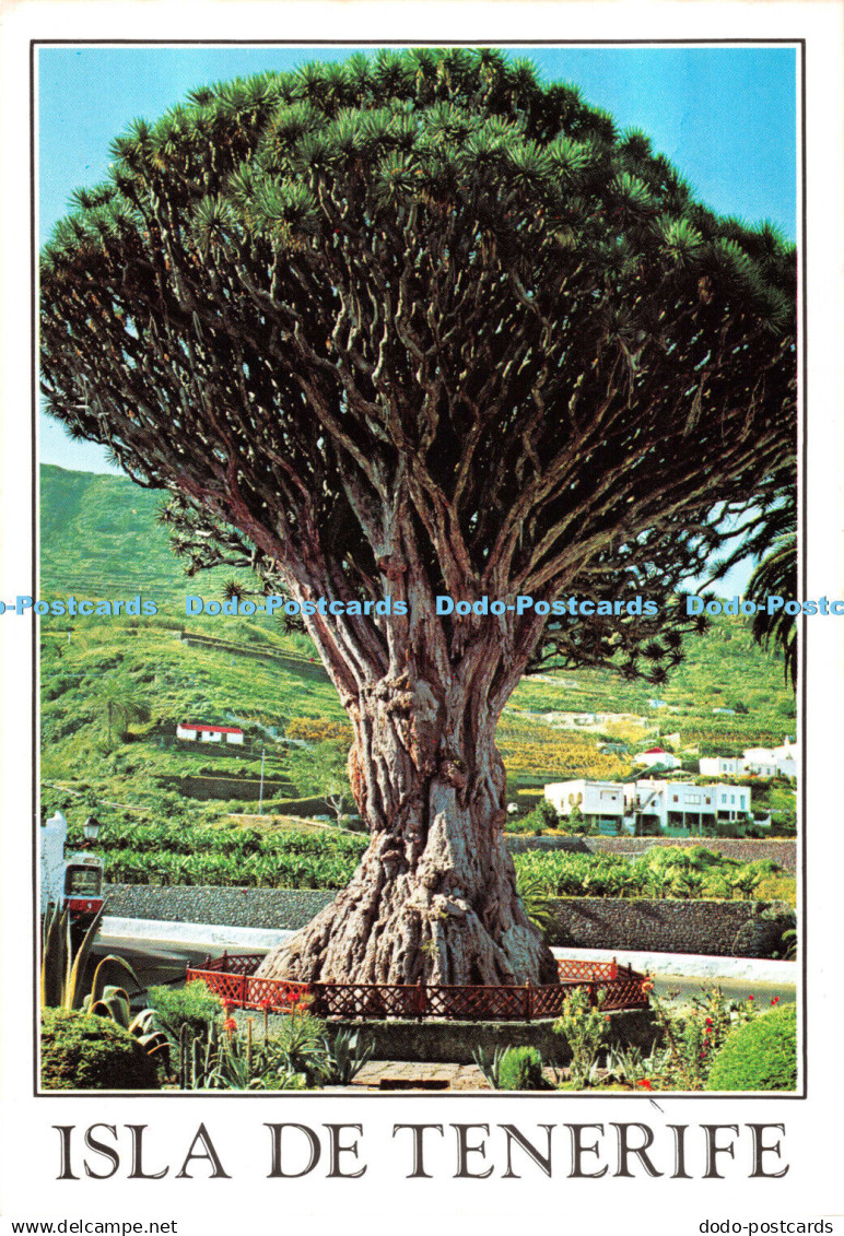 D111883 Isla de Tenerife. Gasteiz