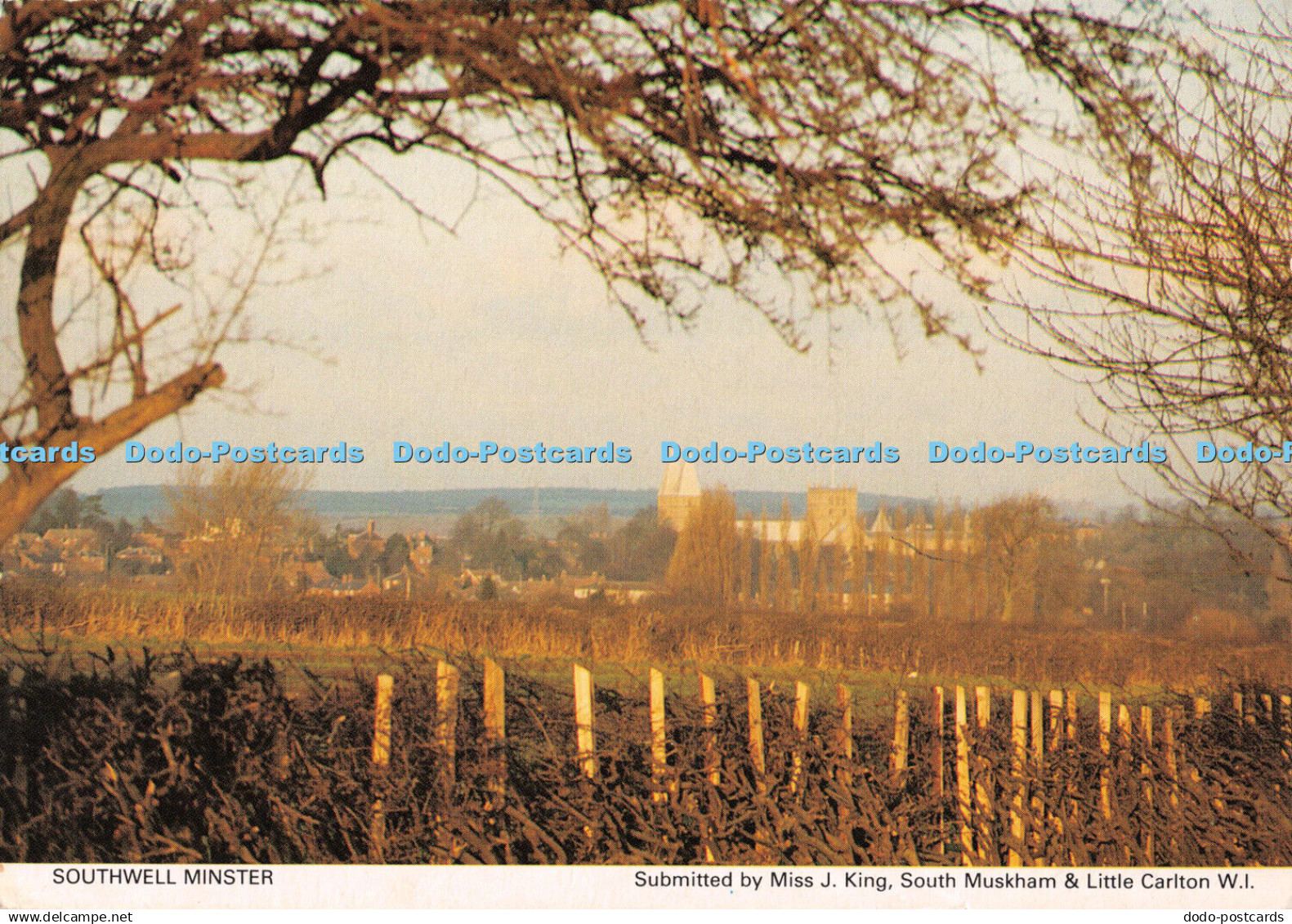 D116817 Southwell Minster. Nottinghamshire Federation of Women Institutes. Judge