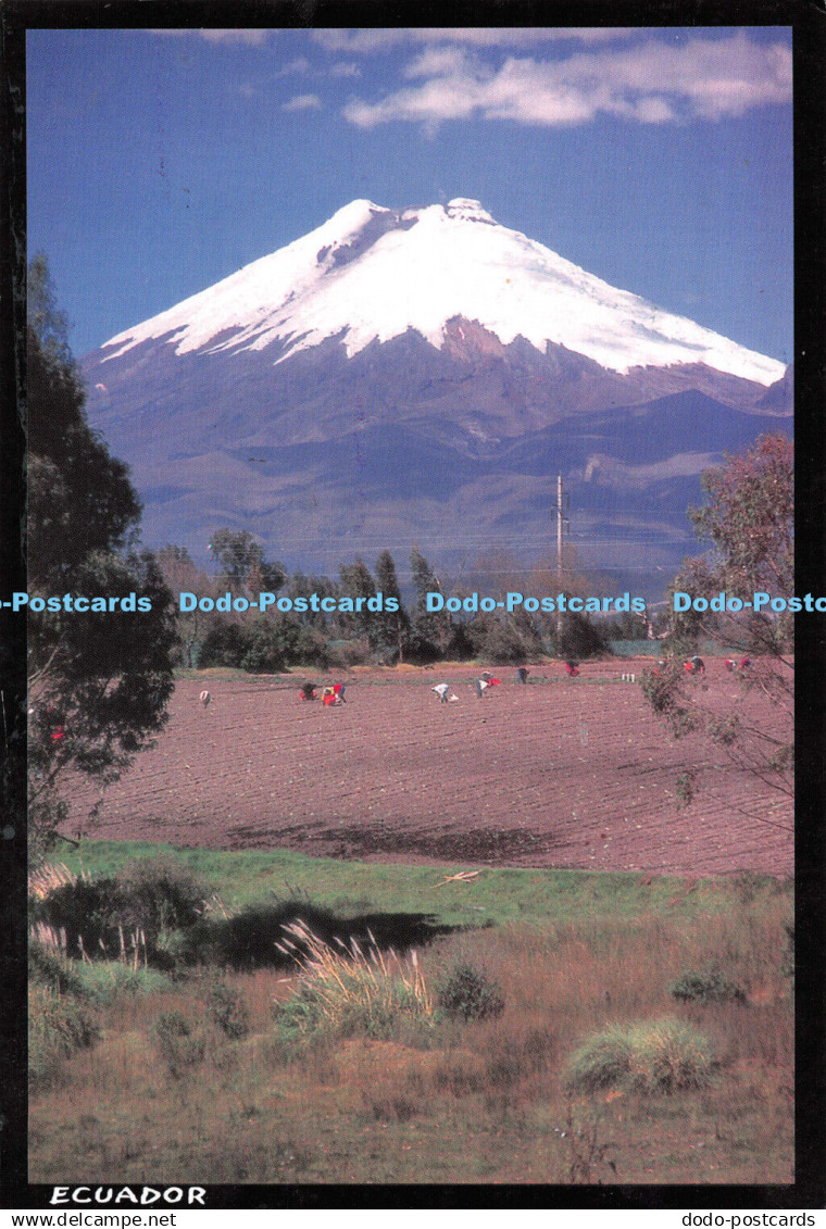 D118136 Ecuador. Volcan Cotopaxi. Hyla Postales