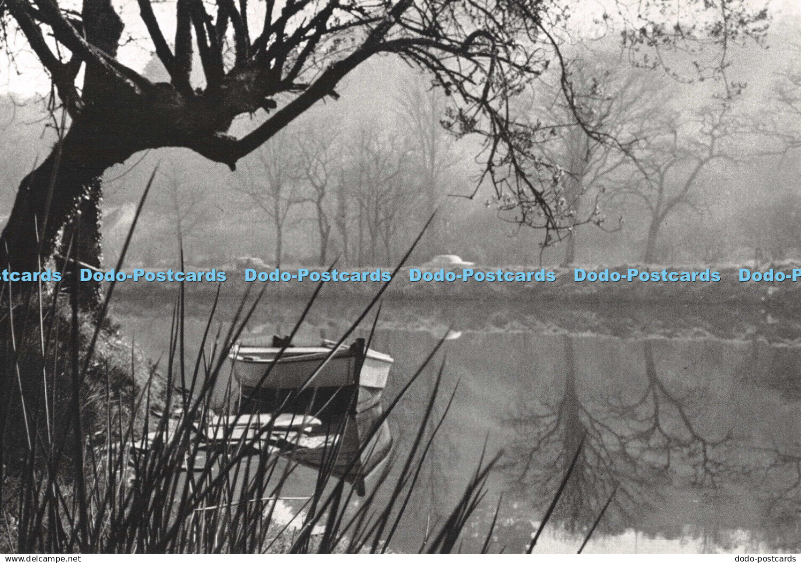 D119589 Luskell Va Bagig War Gribell an Dour. Jos le Doare. Modele Depose