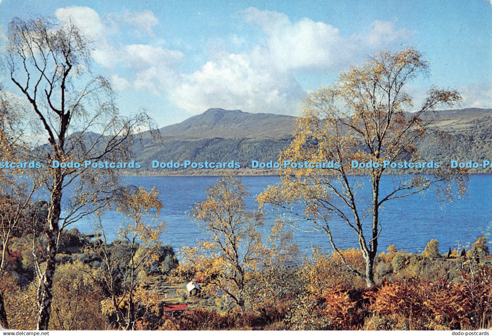 D120050 Loch Ness from Inverfarigaig Inverness shire Dixon