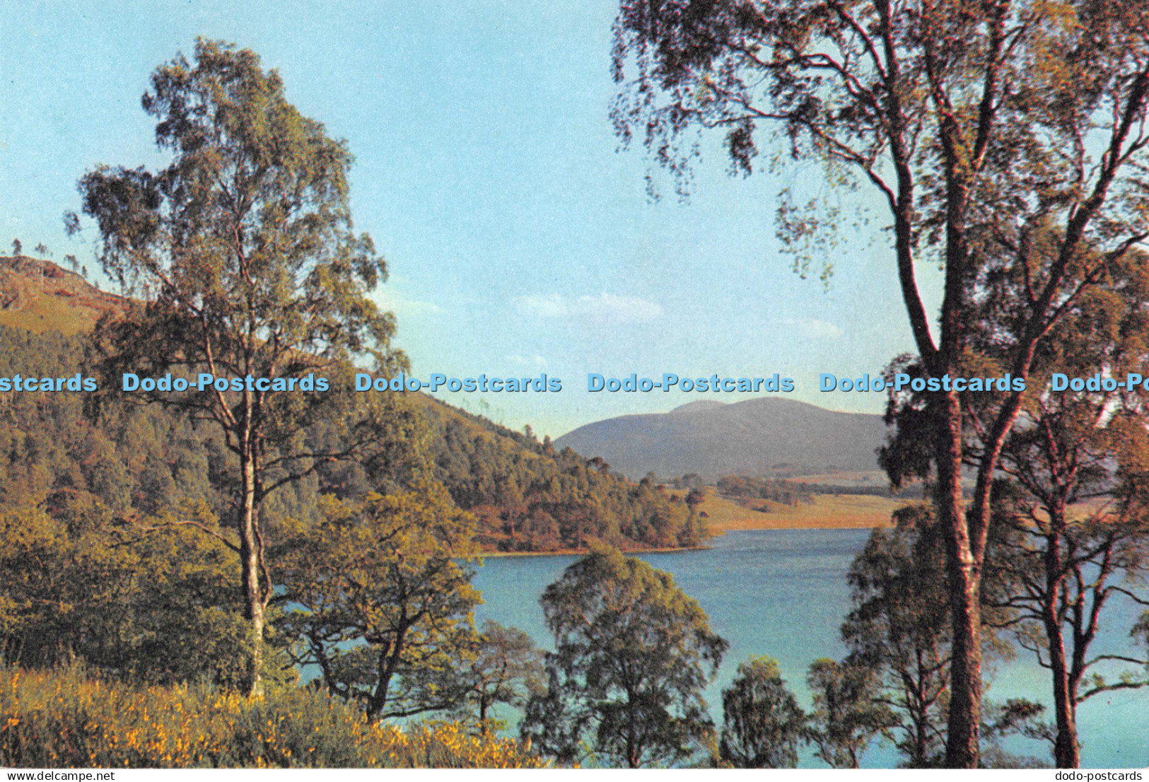 D121619 Loch Pityoulish and Cairngorms Inverness shire Dixon