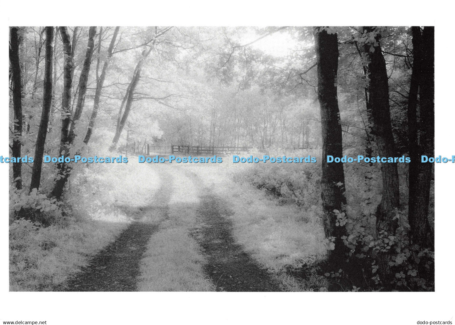 D122600 Summer Winter Reflex Publishing Gary Phillips