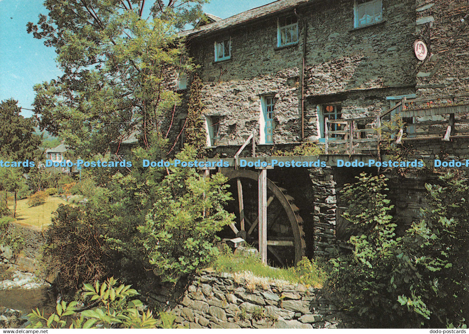 D123006 Old Mill Ambleside Salmon