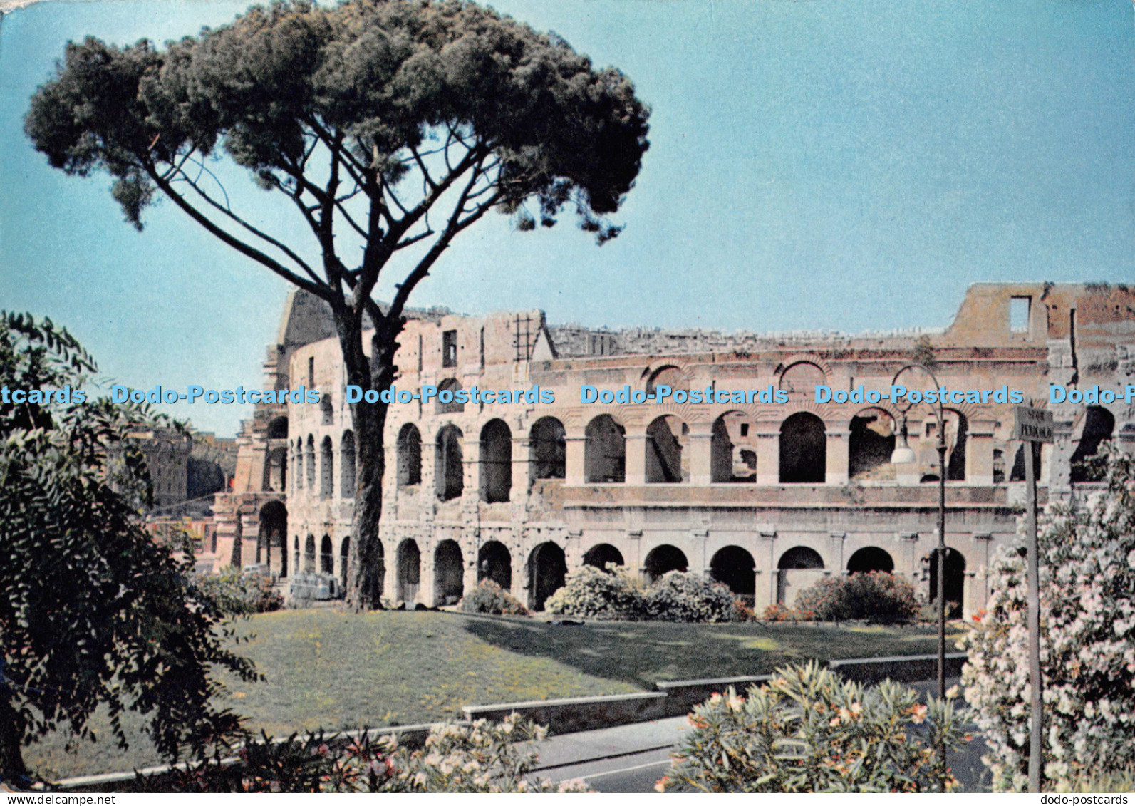 D123380 Italy Roma le Colosseo Rome Colosseum Dixon 1966