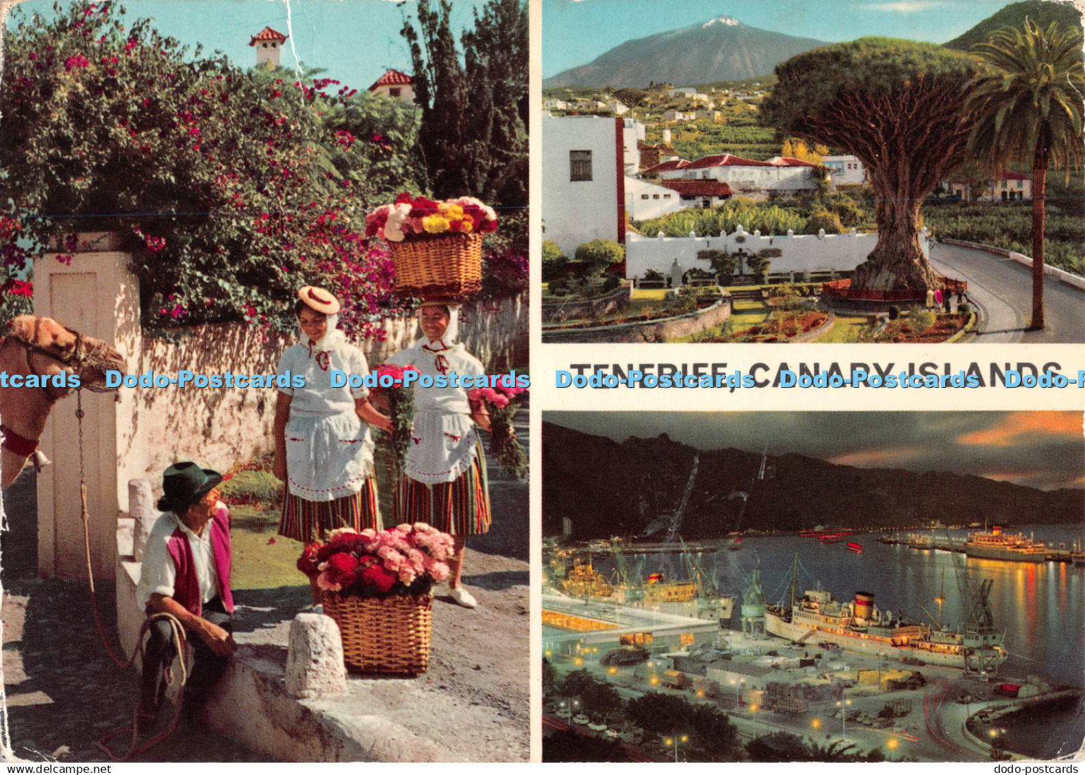 D123387 Tenerife Canary Islands Padane Perez Zamora Hinde Multi View