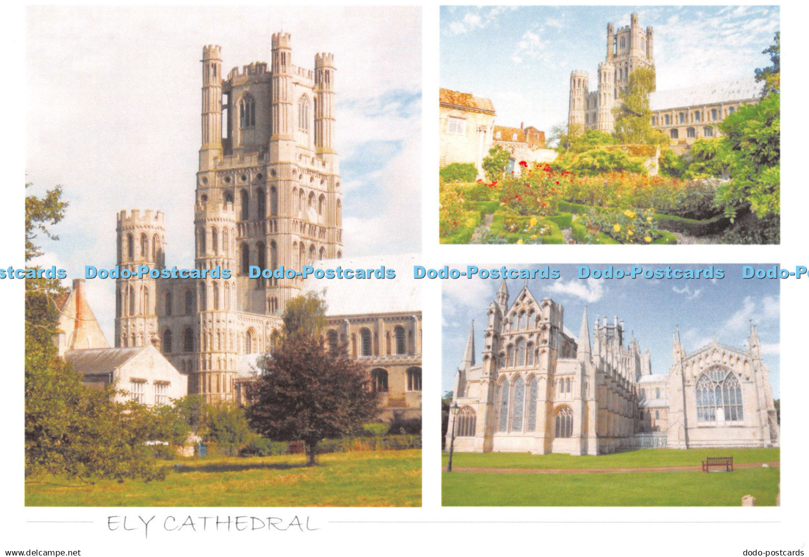 D123996 Ely Cathedral Multi Three from Afar Ely Cathedral Shop Multi View