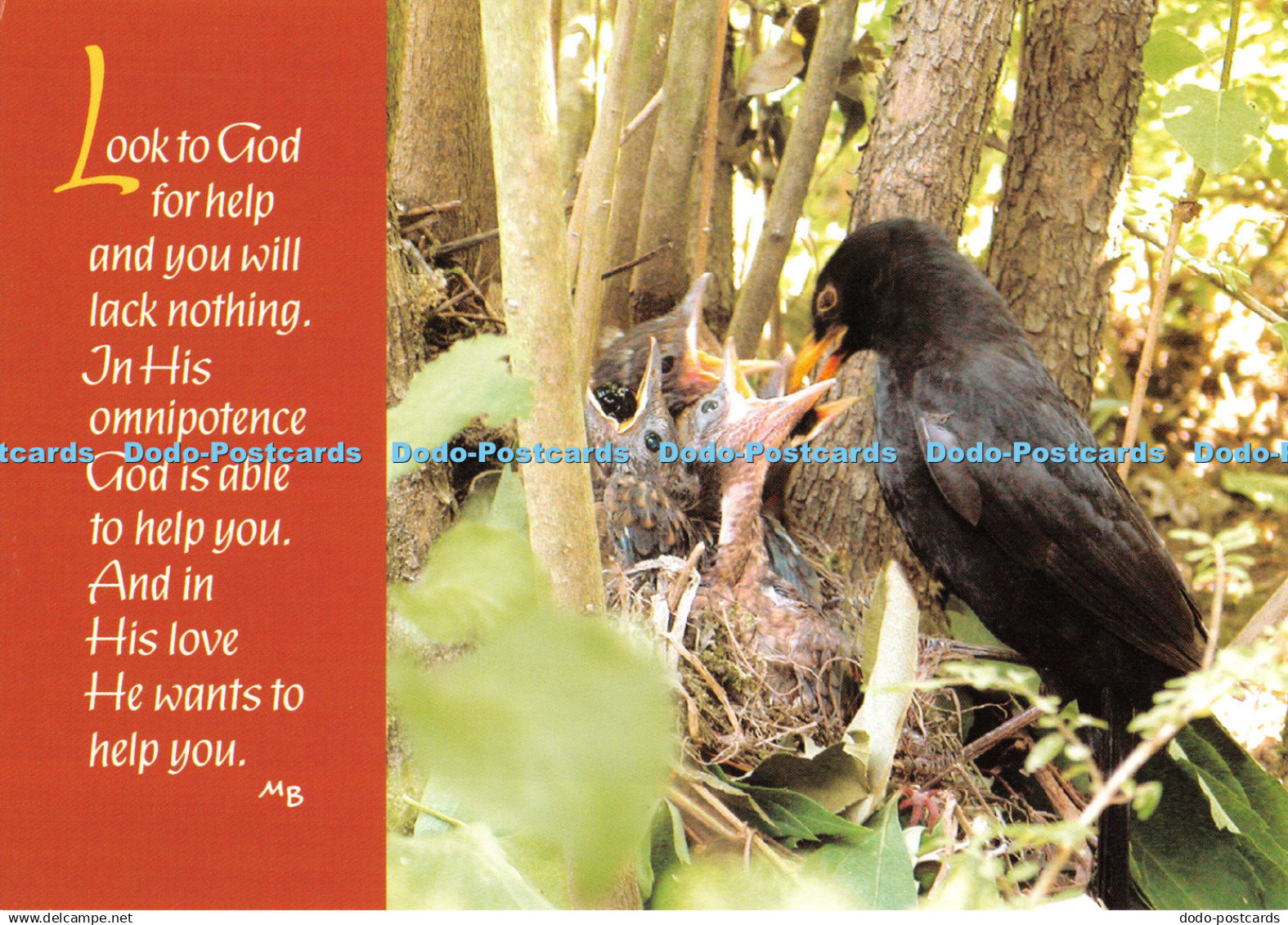 D124252 Look to God For Help Evangelical Sisterhood of Mary M Basilea Schlink