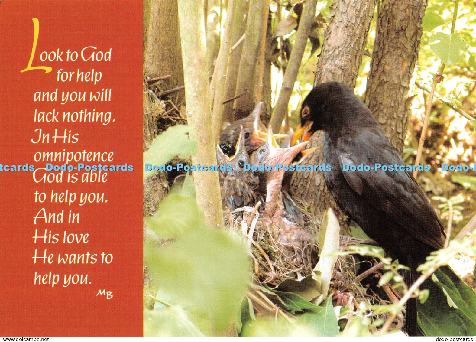 D124255 Draw Close to God Evangelical Sisterhood of Mary M Basilea Schlink