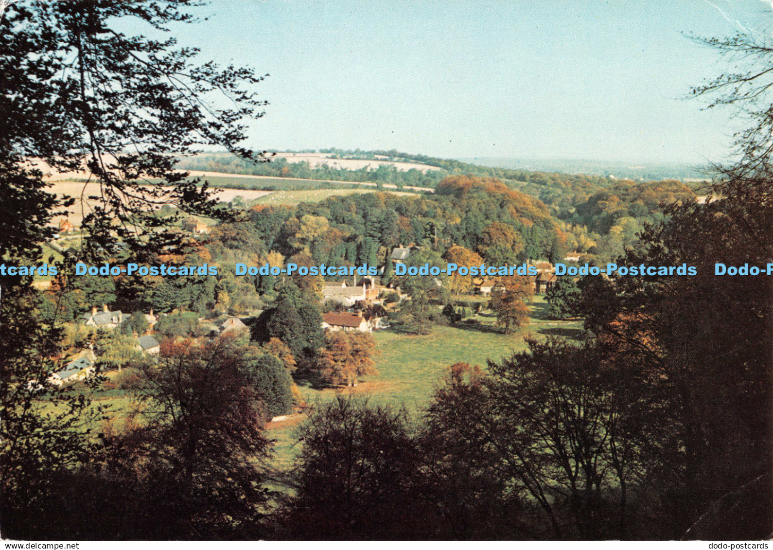 D124524 Selborne Hampshire Dixon