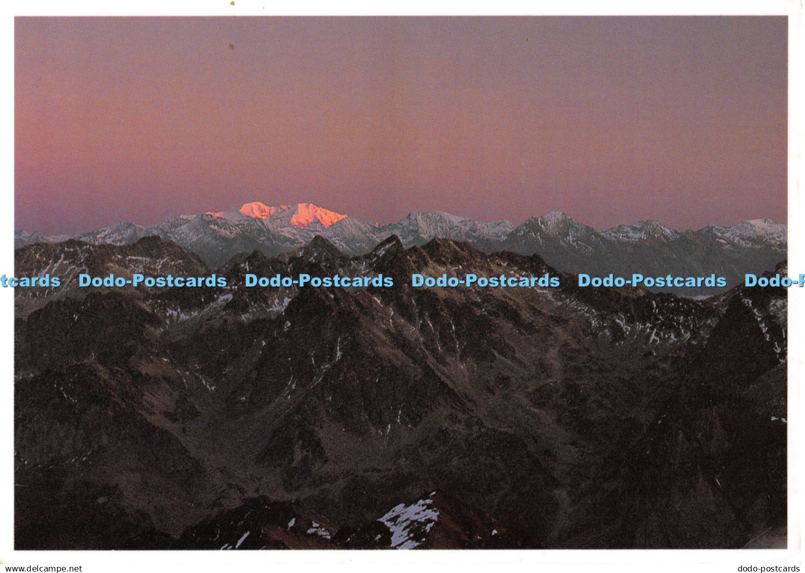 D124790 Gypaete Pyrenees Posets Dominique Julien