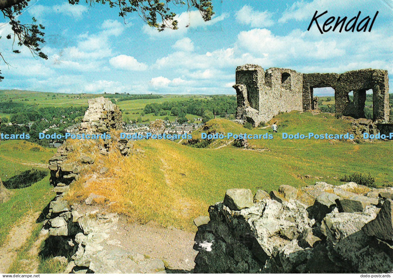 D124870 Castle Kendal Salmon 1987