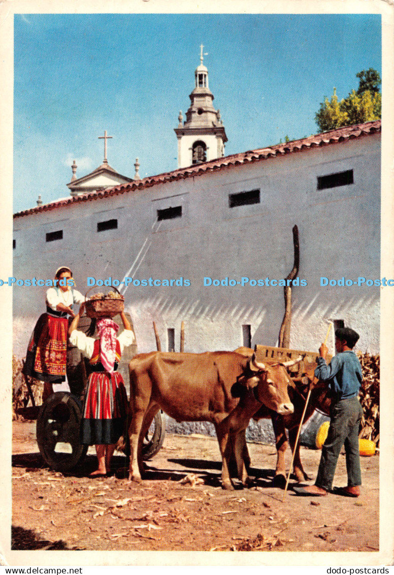 D126376 51 Viana do Castelo Portugal Motivo regional Edicoes Lusocolor Viana do