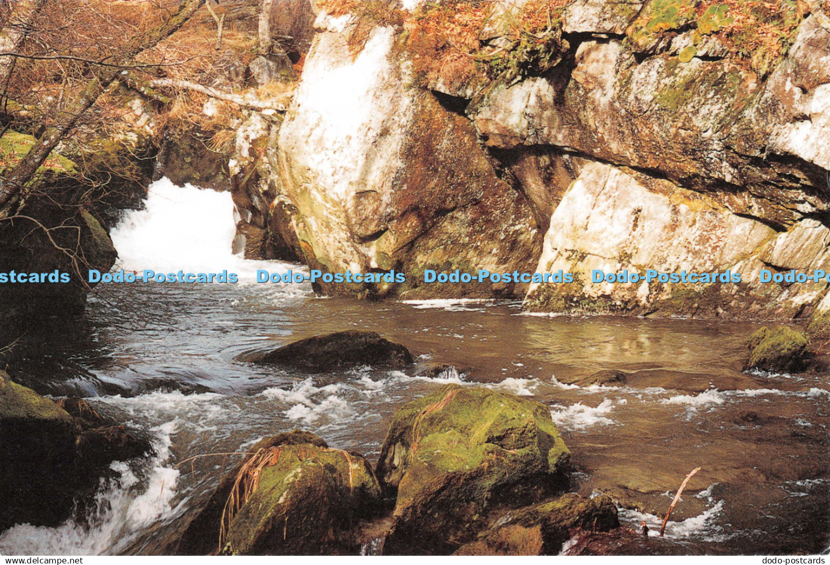 D126689 River Marteg on Gilfach Nature Reserve St Harmon Powys Radnorshire Wildl