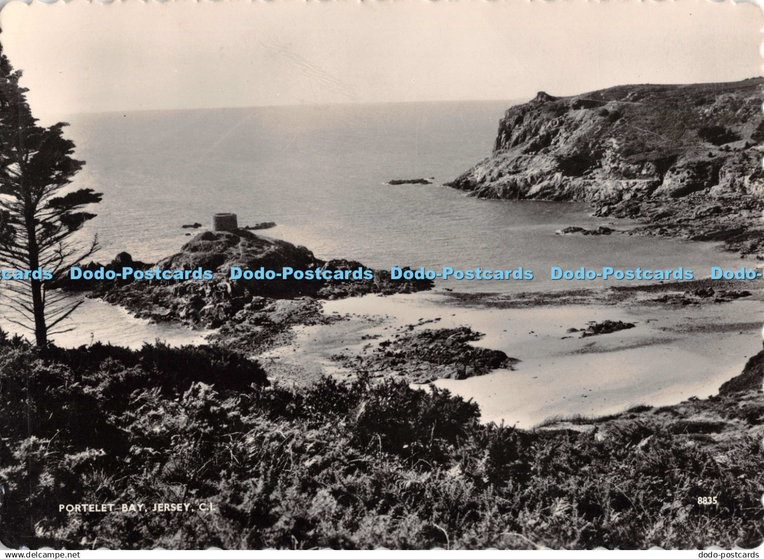 D131582 Portelet Bay Jersey C I 8835 Jersey Premier Premier Printers