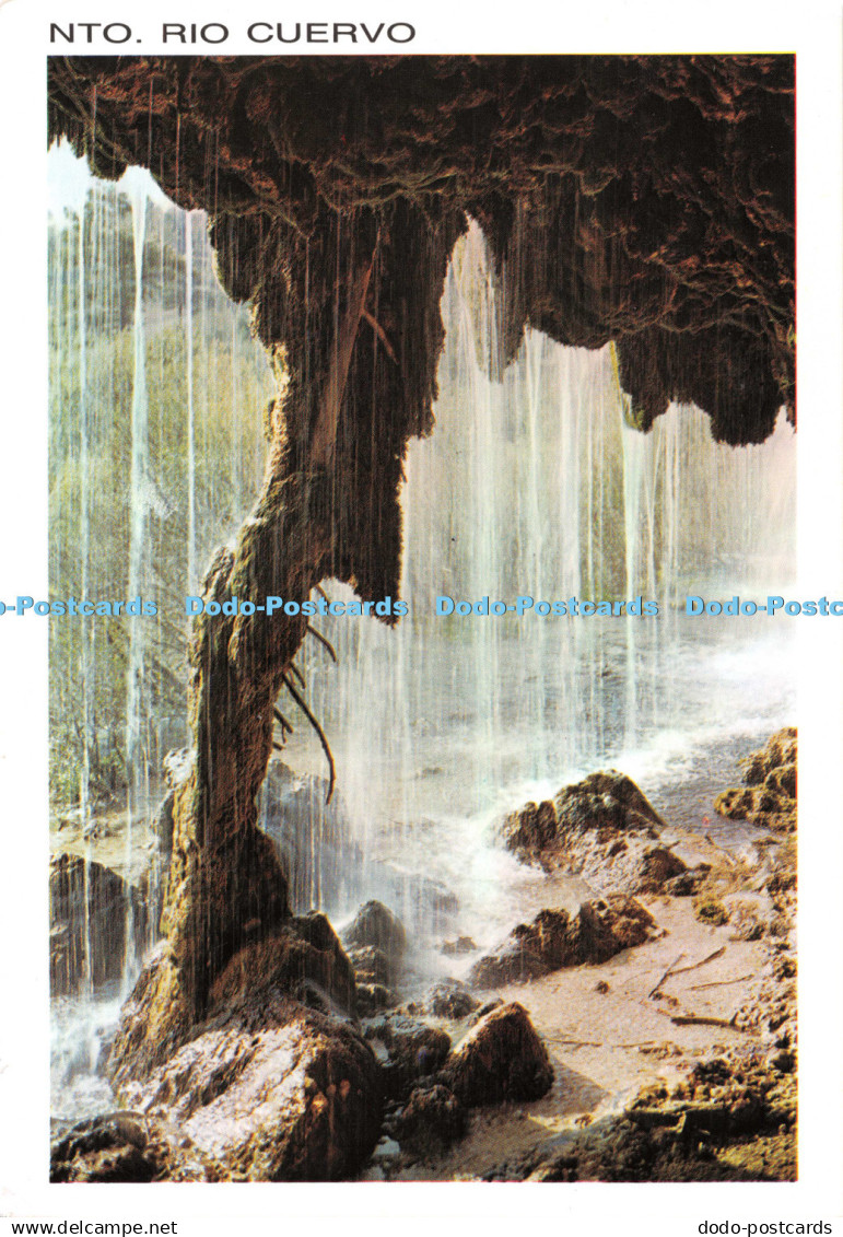 D132418 Nto Rio Cuervo Cuenca Nacimiento del Rio Cuervo y Pino Fosilizado Sicili