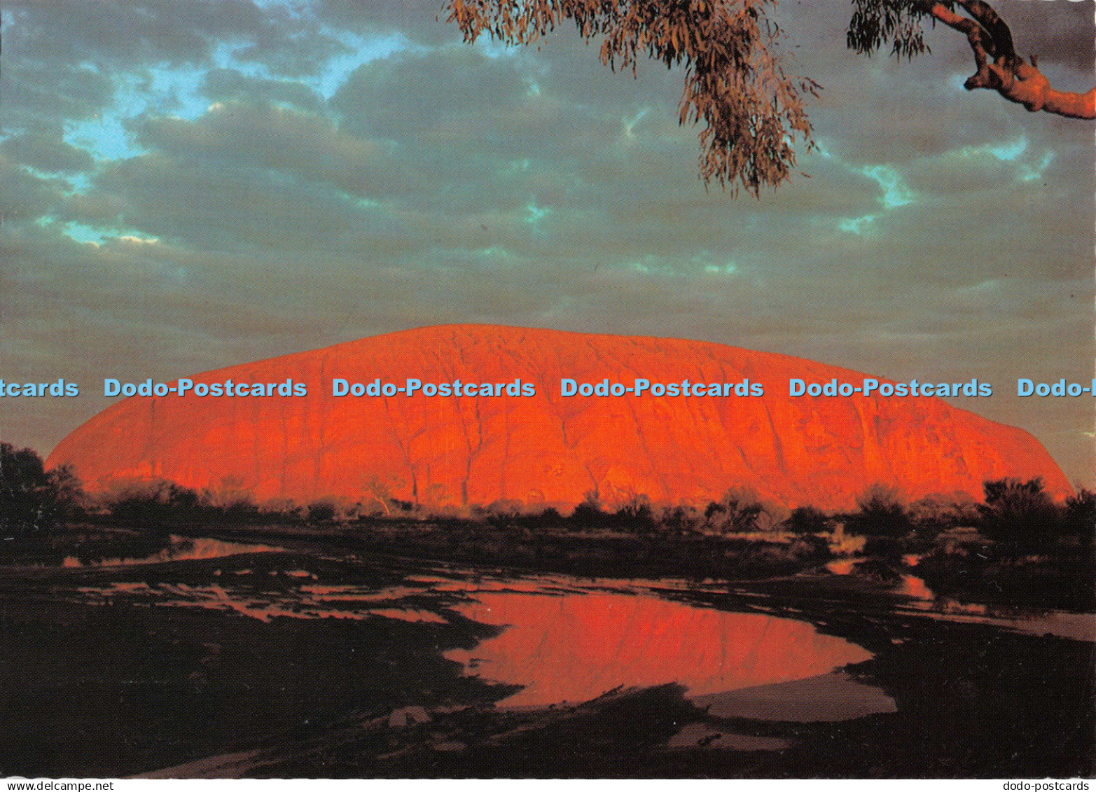 D132725 Sunrise Reflection of Ayers Rock Alice Springs Tours Stan Cawood