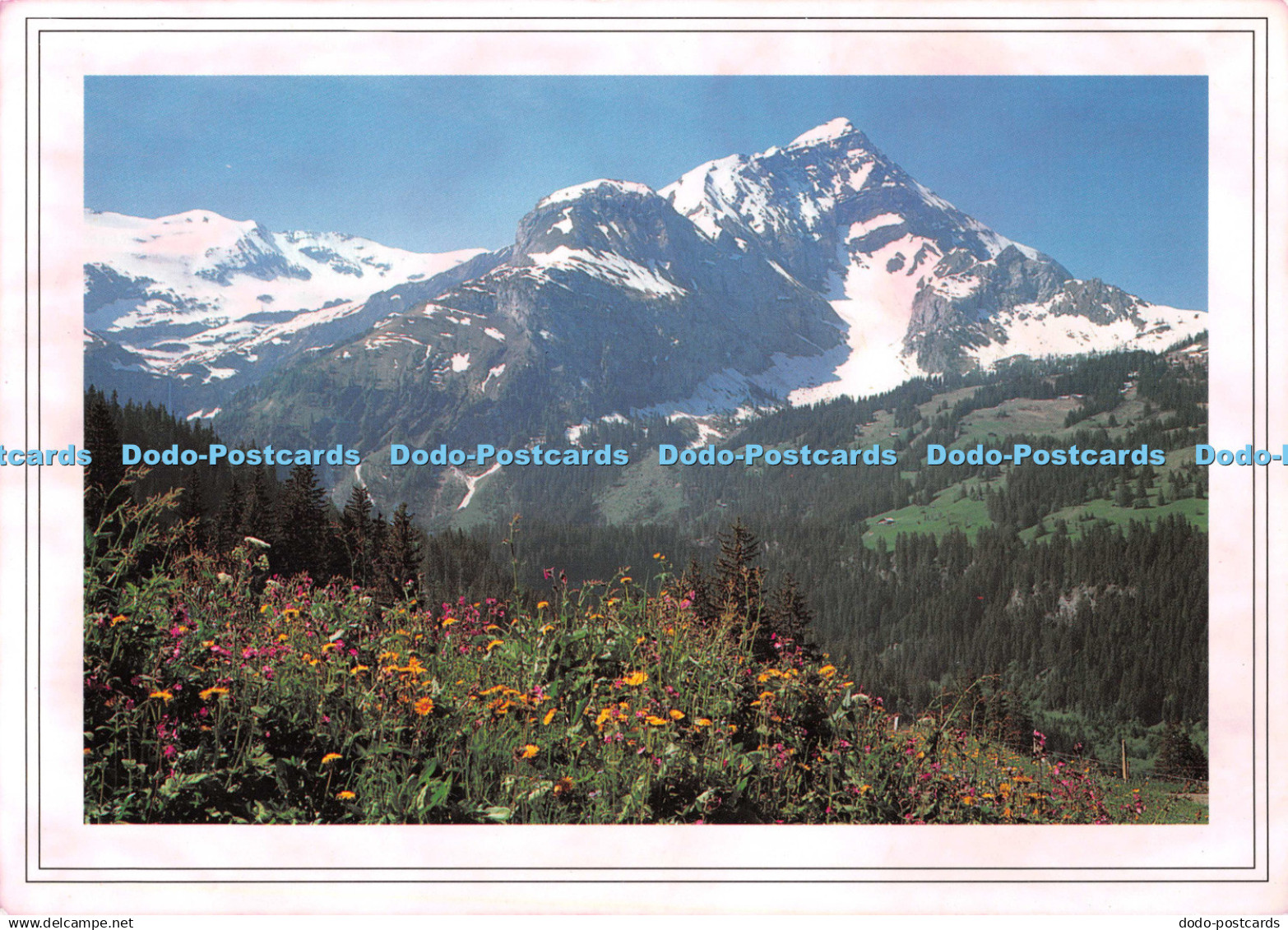 D133637 Lauenen Geltengletscher Spitzhorn Photoglob