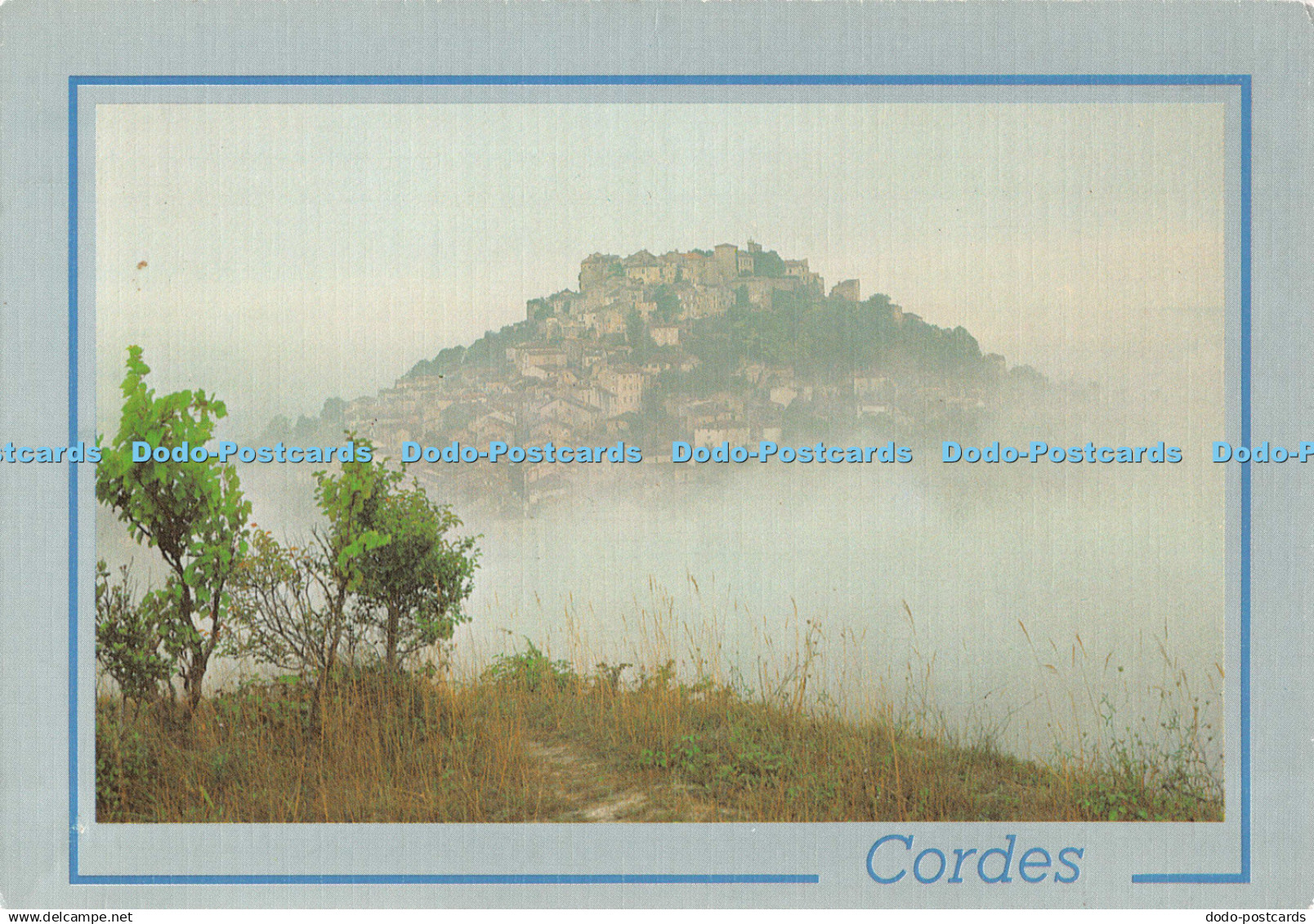D134025 Cordes Tarn Cite du 13 Siecle Cely De Luxe Pierre Blanc Cordes