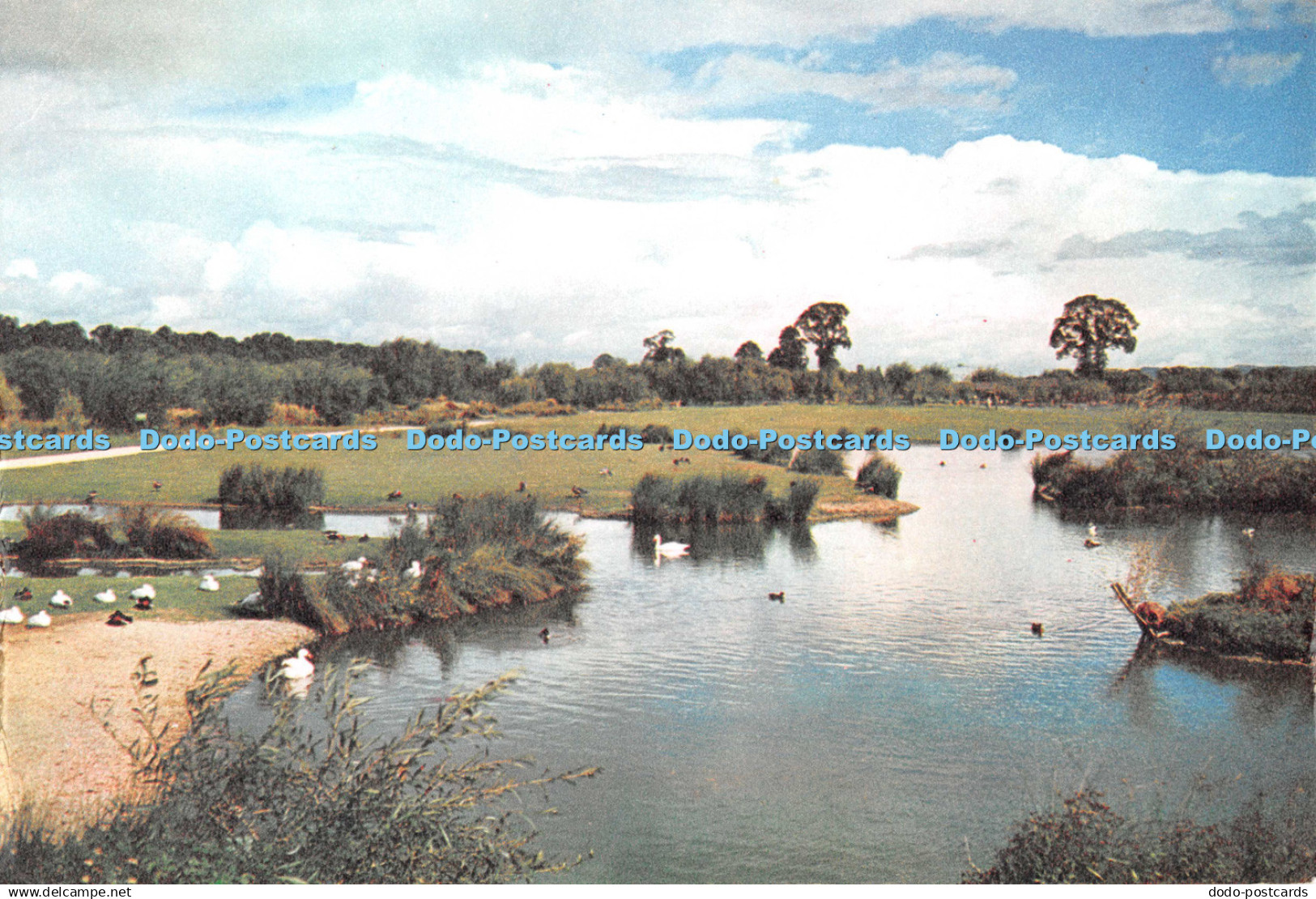 D134554 Wildfowl Trust Slimbridge Gloucestershire Dixon