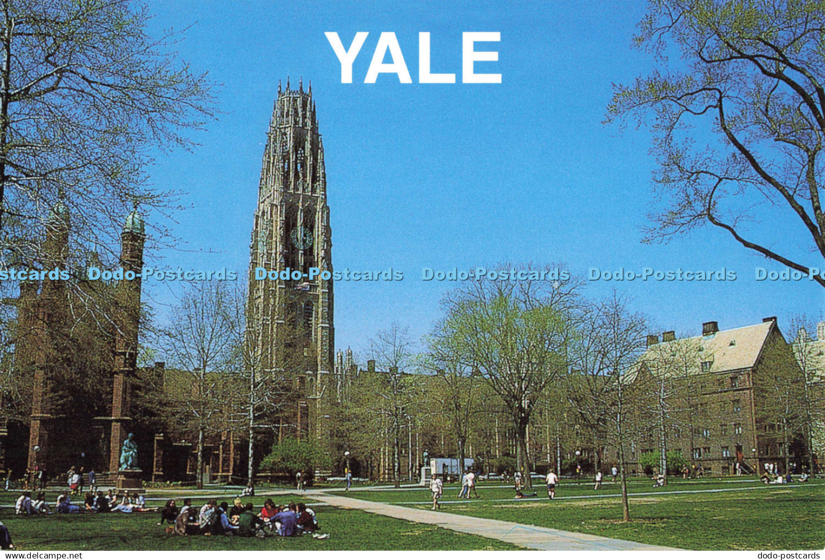 D136112 Yale New Haven Connecticut New England Photo Thomas P Benincas Jr