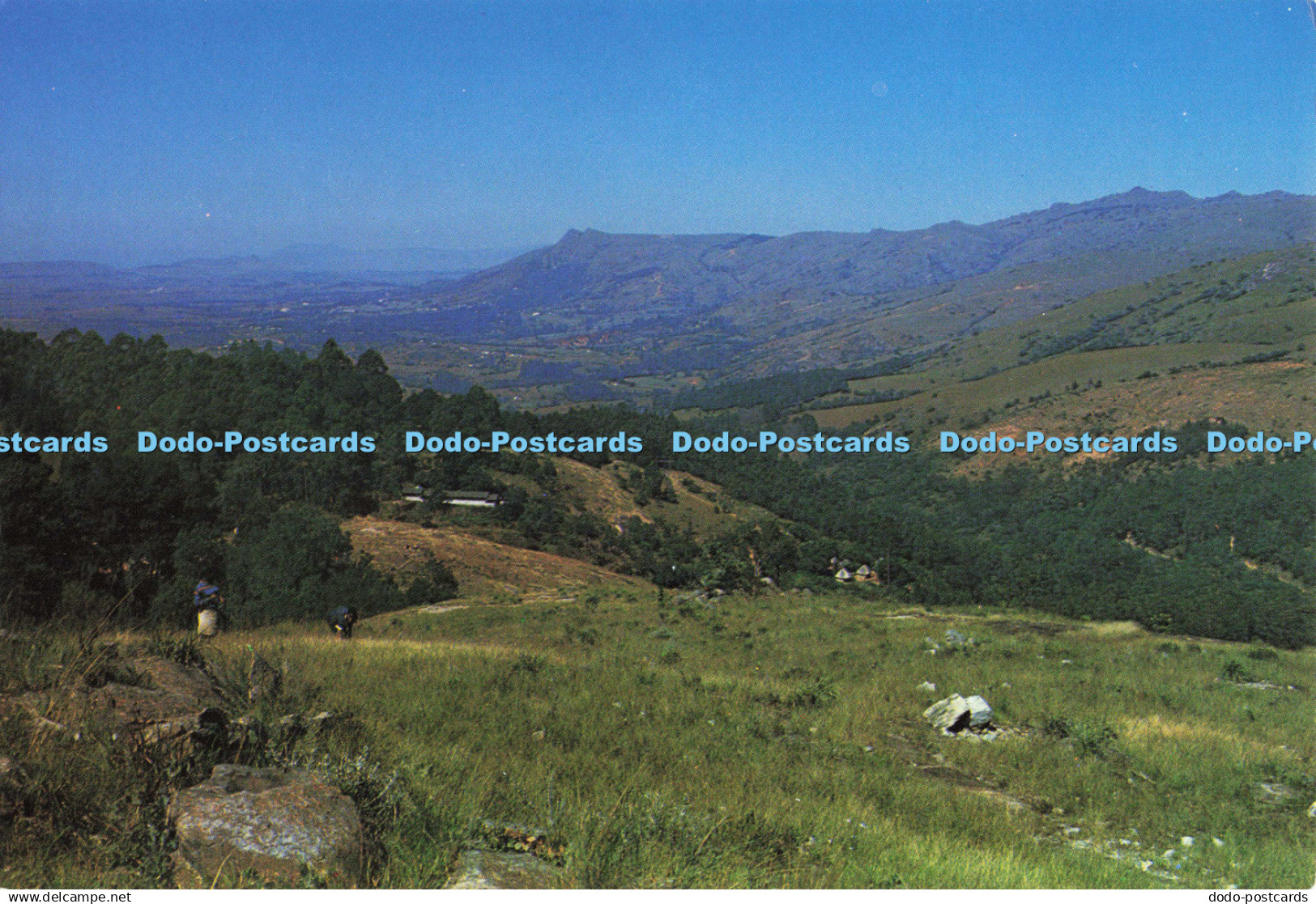 D136512 H H 77 Swaziland View down Ezulwini Valley B Poynter Print Honey Hill E