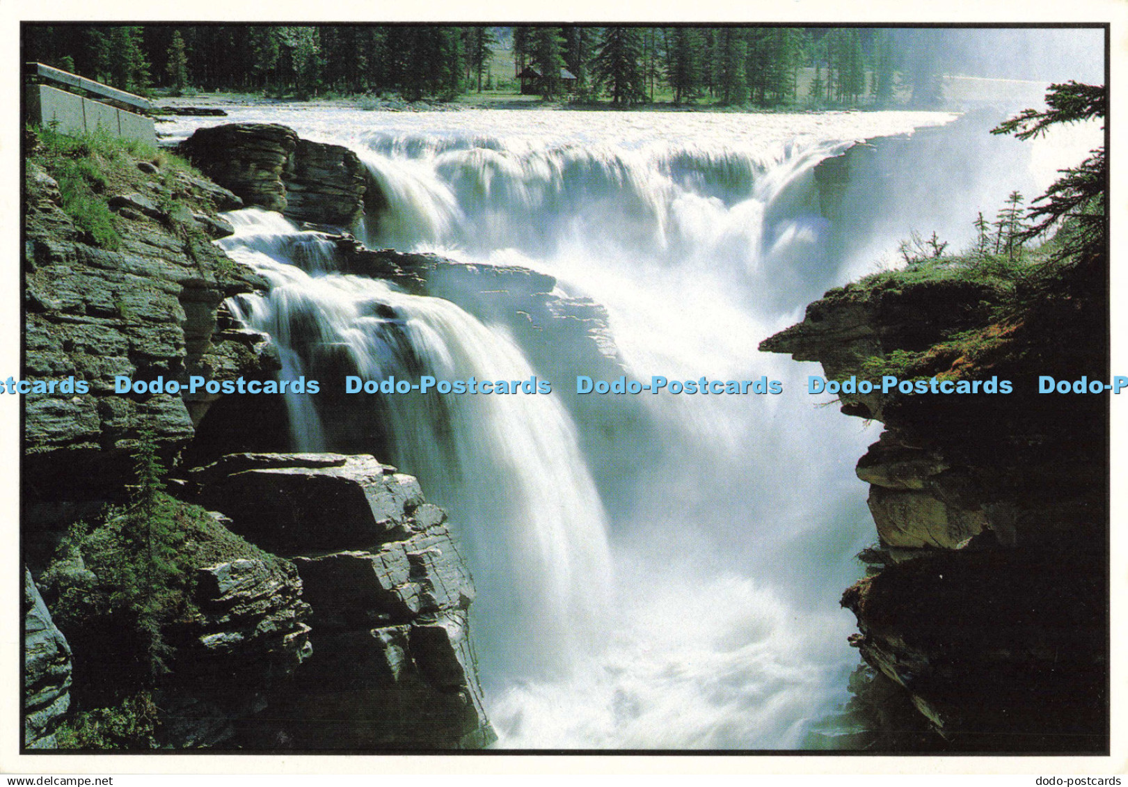 D136698 Athabasca Falls Jasper National Park Alberta Canada Alberta Color Produc