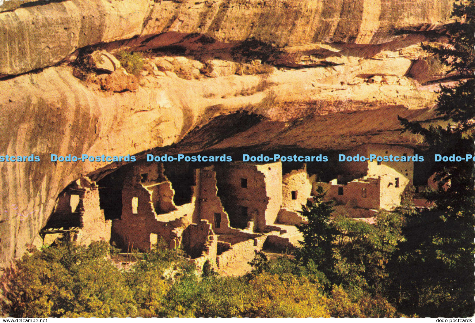 D136804 Spruce Tree Ruin Mesa Verde National Park Ansel F Hall Mesa Verde Mirro