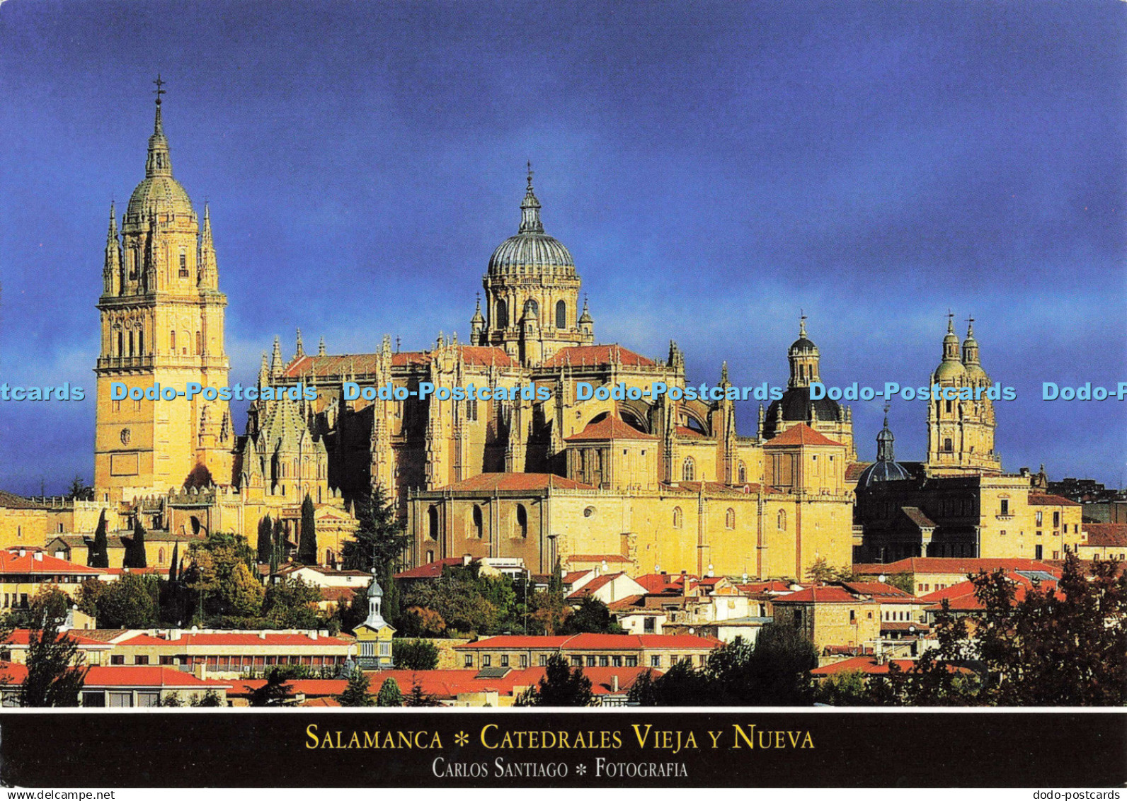 D137576 Salamanca Catedrales Vieja y Nueva Carlos Santiago Imagenes de Salamanca