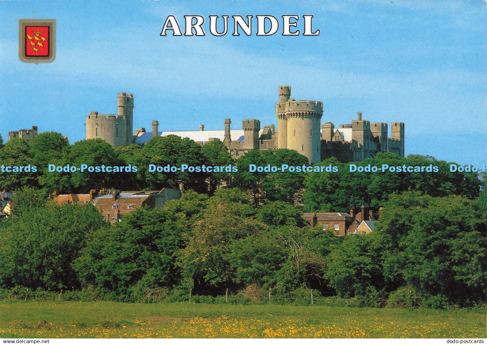 D138941 Arundel Arundel Castle Don Carr Golden Shield Leo Cards