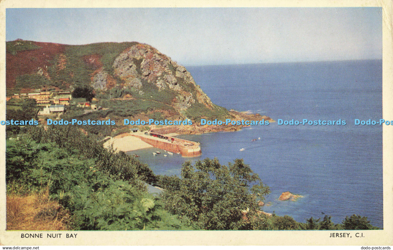 D138966 Bonne Nuit Bay Jersey C I Premier Printers Jersey Premier