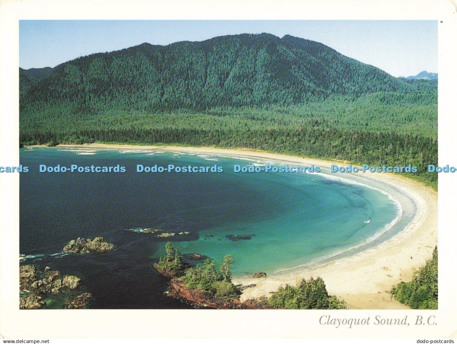D139103 Clayoquot Sound B C Flores Island Vancouver Island B C Vancouver Island