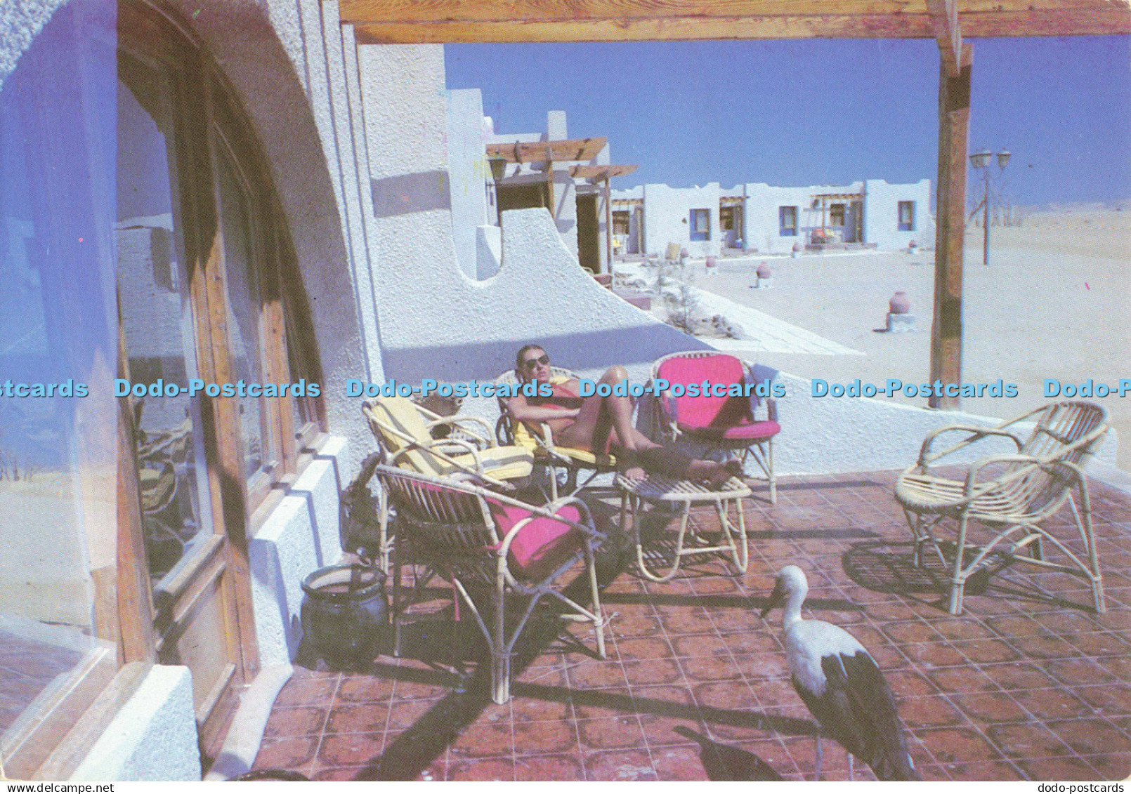 D139213 No 10 Magawish Hurgada Club Mediterranee Egypt