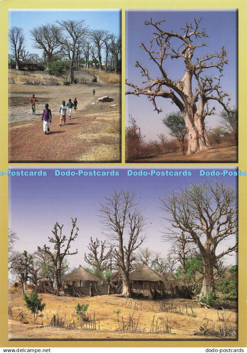 D139521 Gambia Aduna Productions Phil Gysen Multi View