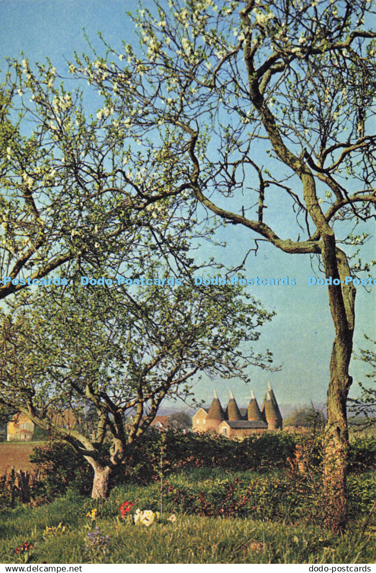 D141627 Oast houses near Golden Green Kent Kent 2660 Dixon