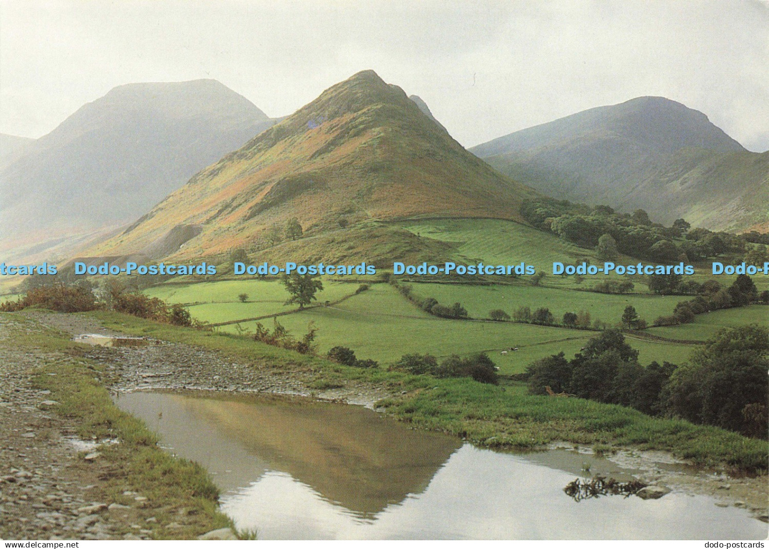 D142603 Newlands Valley Cressida Pemberton Pigott Chapter and Verse Images of La