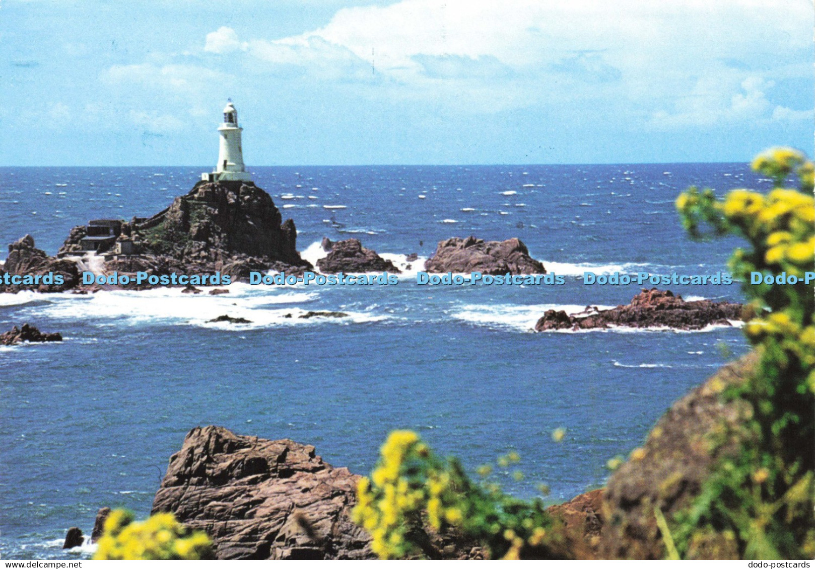 D142957 La Corbiere Jersey Jarrold
