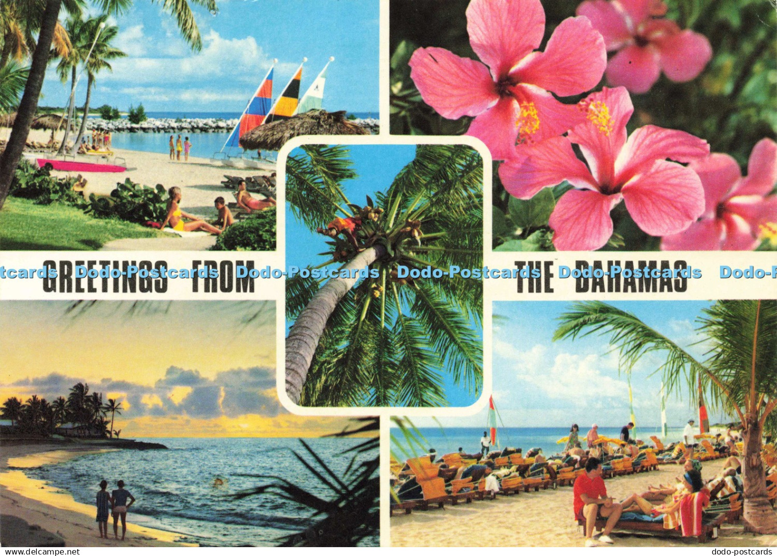 D143336 Greetings from Bahamas Bahama Islands Hinde Island Merchants Multi View